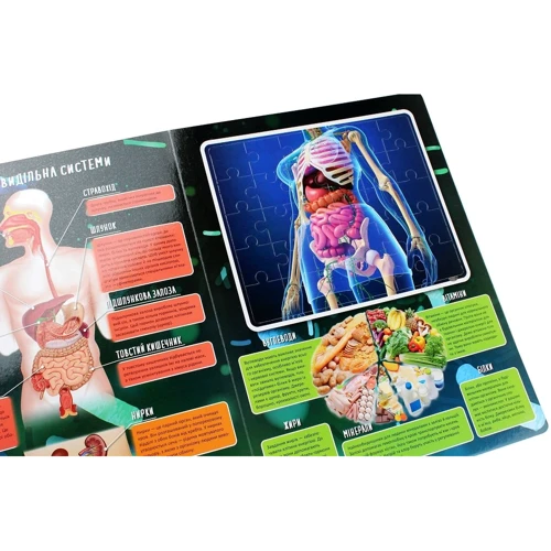 Марія Жученко: Тіло людини