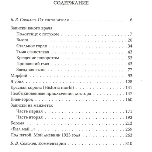 Під п'ятою. Записники Майстри: Кількість сторінок 384