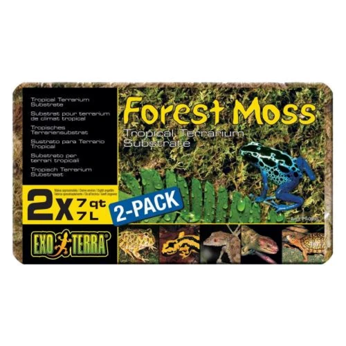 Наповнювач для тераріуму Hagen Exo Terra Forest Moss лісовий мох 500 г (15561230957)