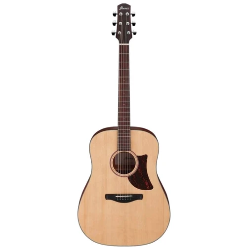 Гітара акустична Ibanez AAD100