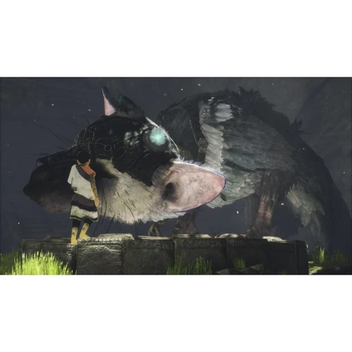 The Last Guardian (PS4)