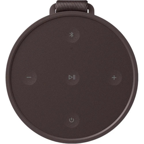 Акустика Bang & Olufsen Beosound Explore Chestnut (1626005): Тип портативная