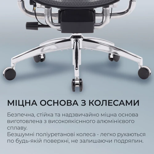 Офисное кресло Sihoo DORO S300 Mesh Dark Grey (S300-M201)