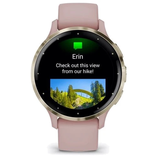 Смарт-часы Garmin Venu 3S Soft Gold Stainless Steel Bezel with Dust Rose Case and Silicone Band (010-02785-03): Материал корпуса Армированный волокном полимер / Нержавеющая сталь (Безель)
