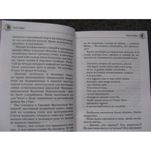 Муни Витчер. Нина и Золотое Число: Количество страниц 432