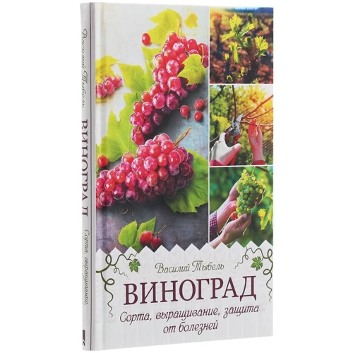 Василий Тыбель: Виноград. Сорта, выращивание, защита от болезней: Обложка Твердая