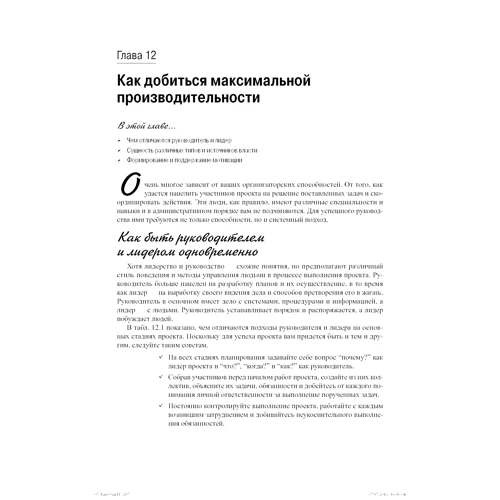 Стенлі Е. Портнов: Управління проектами для чайників фото 8