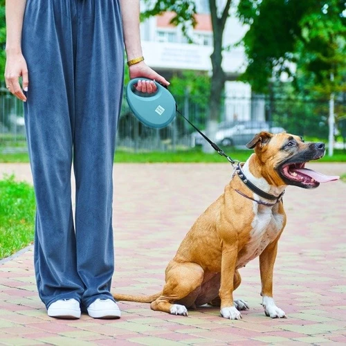 Повідець-рулетка для собак WAUDOG R-leash з контейнером для пакетів M блакитний до 20 кг 5 м (26282) фото 8