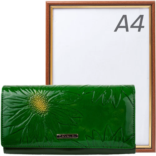 Жіночий гаманець 4U Cavaldi зелений (DNKPN27-SF-green): Тип Гаманці