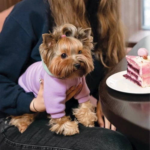 Футболка для собак Pet Fashion BE DIFFERENT S бузкова: Обхват грудей 46-56 см