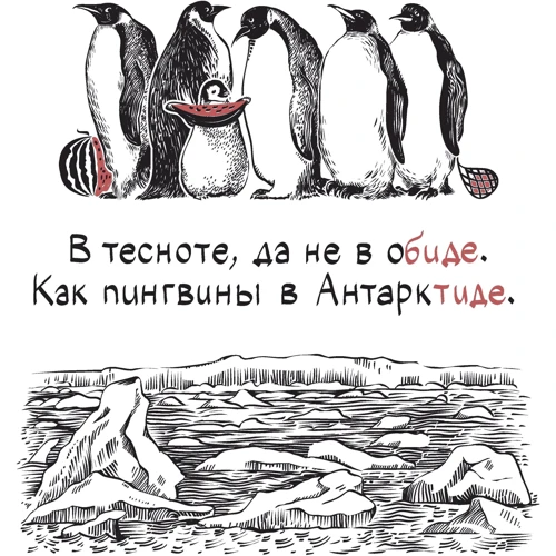 Ріфмоазбука: Виробник Паблішер