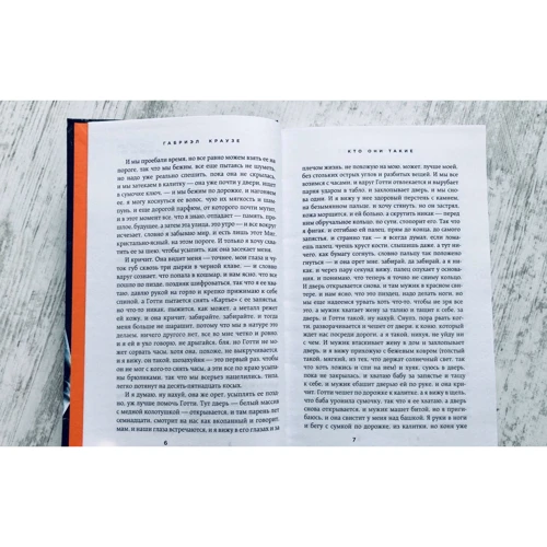 Габриэл Краузе: Кто они такие: Количество страниц 320