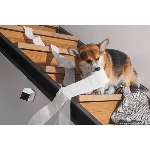 Компактна HD-камера Petcube Cam з нічним баченням та двостороннім аудіозв'язком фото 10