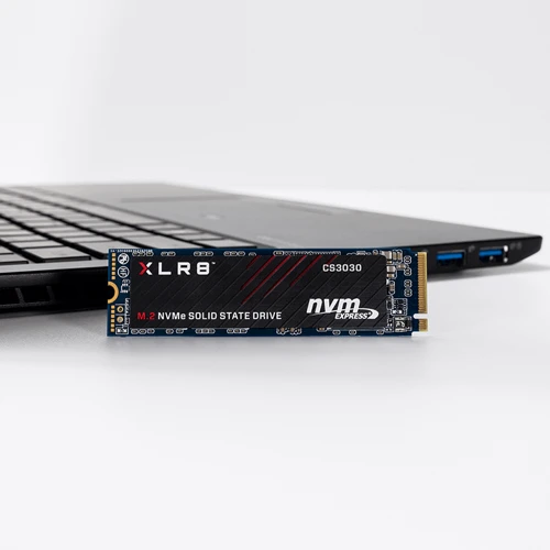 PNY CS3030 1 TB (M280CS3030-1TB-RB): Тип накопичувача внутрішній