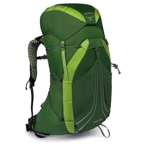 Рюкзак Osprey Exos 58 Tunnel Green - LG (009.1739)