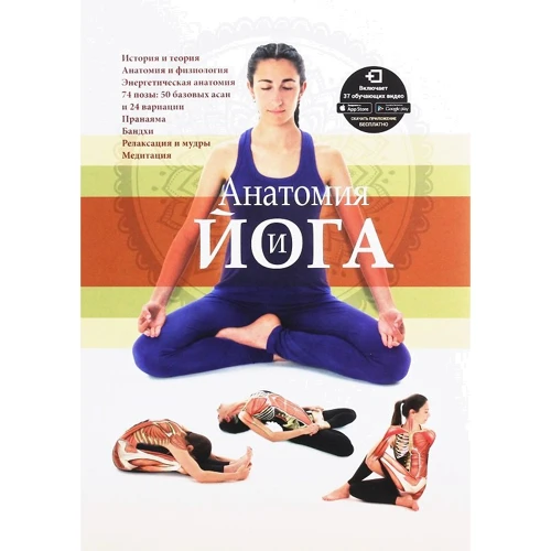 Анатомия и йога