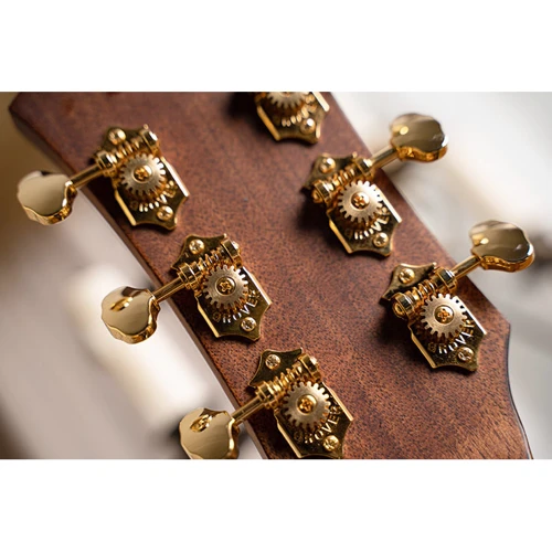 Гитара CORT GOLD-DC6 NAT w/case