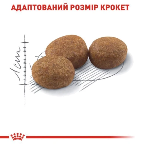 Сухой корм Royal Canin Sterilised для стерилизованных кошек и кастрированных котов 10 кг (2537100): Тип Сухой корм