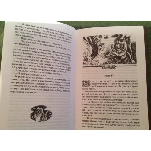 Эрин Хантер: Коты-воители. Долгое эхо: Количество страниц 352