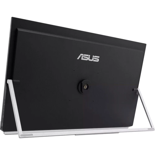 Монитор ASUS ZenScreen MB249C (90LM0865-B01170): Время реакции, мс 5