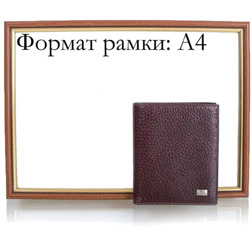 Мужское портмоне Desisan коричневое (SHI112-019-10FL): Тип Портмоне
