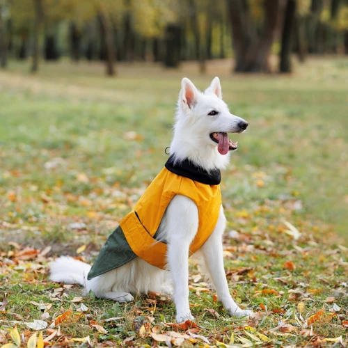 Попона Pet Fashion ROY хаки-горчица 6XL (4823082432806): Длина спины 61-63 см