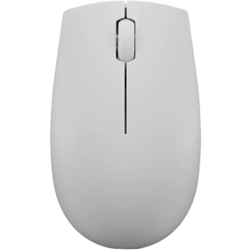 Мышь Lenovo 300 Wireless Mouse Arctic Gray (GY51L15678): Интерфейс подключения Wireless