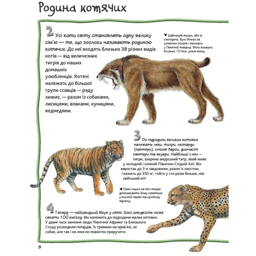 Стів Паркер: 100 Фактів про котів и кошенят: Кількість сторінок 48