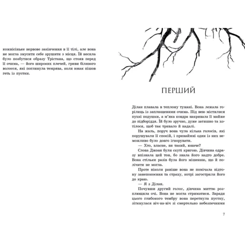 Клер Мак-Фолл: Провідник. Книга 2. Порушники: Кількість сторінок 352