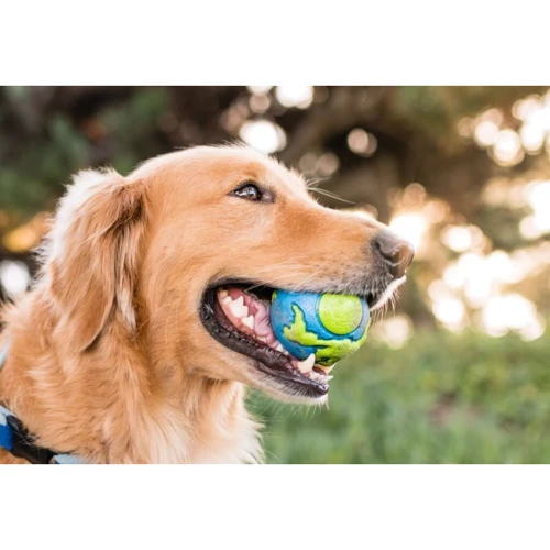 Игрушка для собак Planet Dog Orbee Ball Мяч 5.5 см голубой (pd68669): Производитель Planet Dog