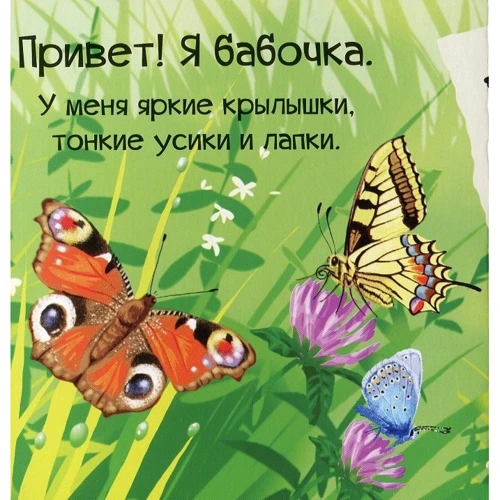 Мария Жученко: Знакомься, я букашка: Производитель Фактор