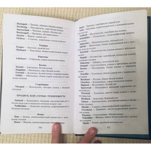 Эрин Хантер: Коты-воители. Расколотое небо: Автор Эрин Хантер
