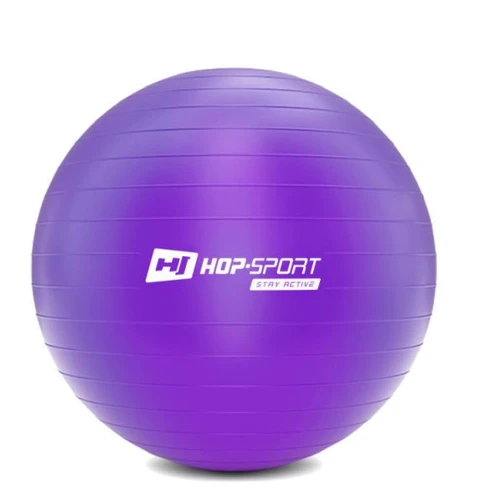 Мяч для фитнеса Hop-Sport HS-R065YB violet 65 см + насос: Диаметр, см 65