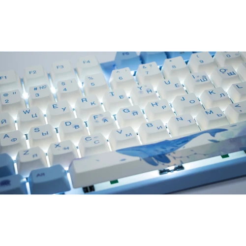 Клавіатура Varmilo VEM108 Sea Melody EC V2 Ivy Multicolor (A36A038B1A3A06A033): інтерфейс підключення USB