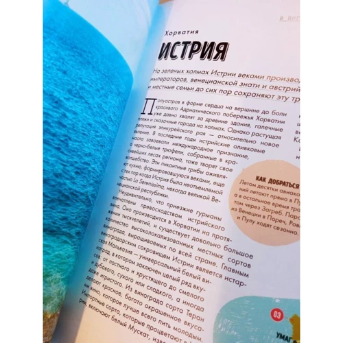 У гонитві за вином. Винні тури по старому світу: Обкладинка Твердая