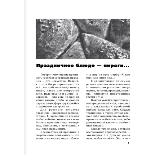 Пироги. Большая книга рецептов: Количество страниц 512