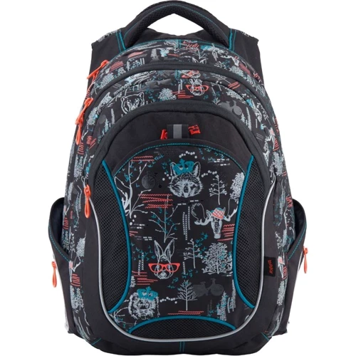 Рюкзак Kite Take'n'Go K18-805L