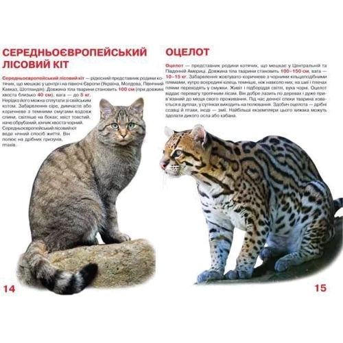Велика книжка. Дикі кішки: ISBN 978-617-7268-17-7