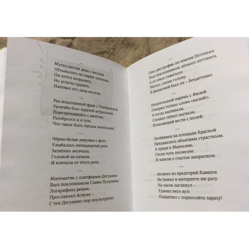Ольга Арефьева: Одностишия. Сборник: Количество страниц 224
