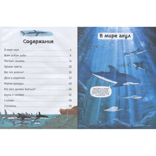 Франсуа Муту, Грегуар Мабір: Акули. Про що говорять тварини: Виробник Перо
