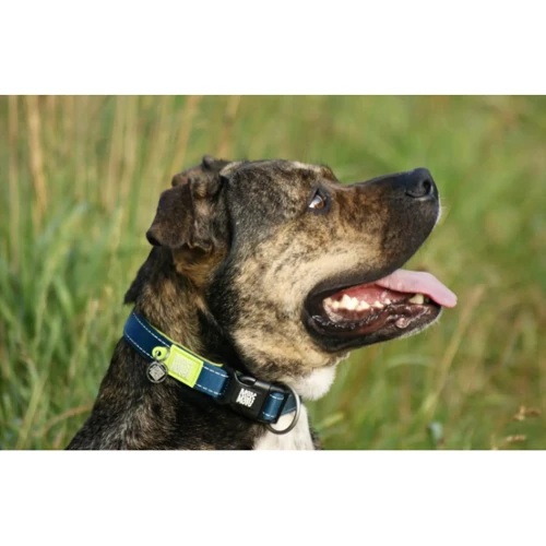 Ошейник для собак Max & Molly Urban Pets Smart ID Collar - Matrix Lime Green/XS 22-35 см (4894512017313): Тип Обычные