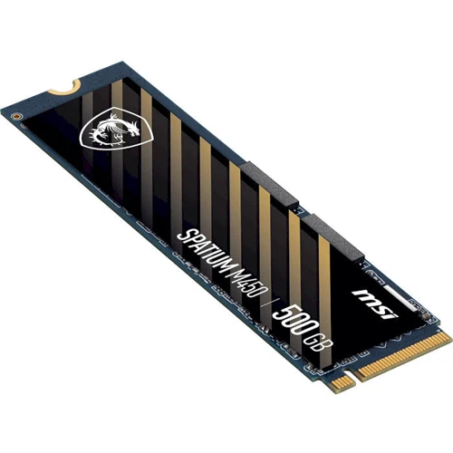 MSI Spatium M450 500 GB (S78-440K090-P83): Объем 500 ГБ