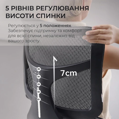 Офисное кресло Sihoo DORO S100 Mesh Black (S100-M301)