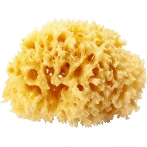 Натуральна морська губка Ok Baby Silk Fine sea sponge 14 см (38481400)