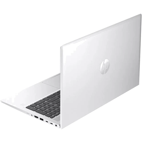Ноутбук HP ProBook 450 G10 (7L748ET): Тип экрана матовый