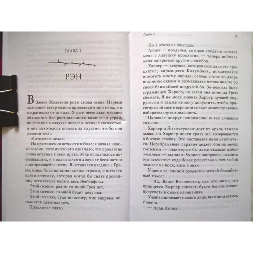 Бриджит Кеммерер: Клятва безумная и смертельная. Книга 3: Количество страниц 560