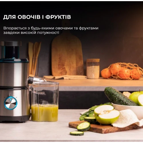 Соковыжималка Cecotec Juice&Fresh 400 Titan Black (CCTC-04153) фото 7