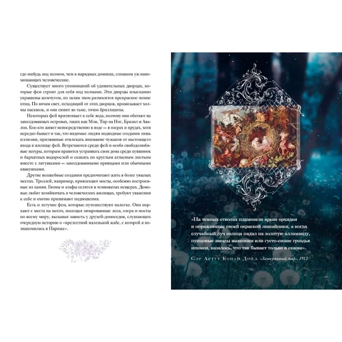Кэролин Терджен: Книга Фей: Обложка Твердая