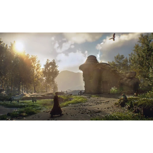 Hogwarts Legacy ( Xbox Series X ): Серия приставки Xbox X