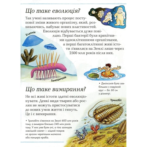 Де, что и коли?: Обкладинка Тверда